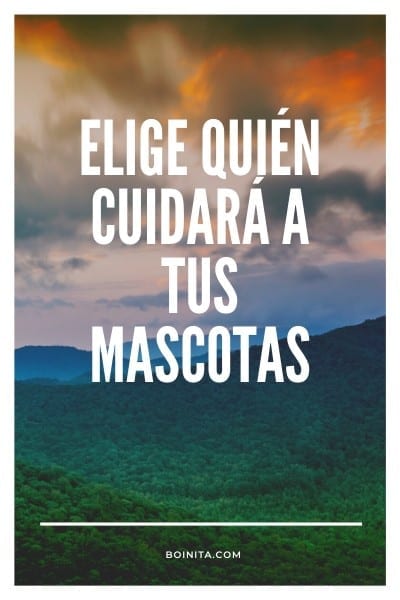 Elige quién cuidará a tu gato o perro cuando mueras