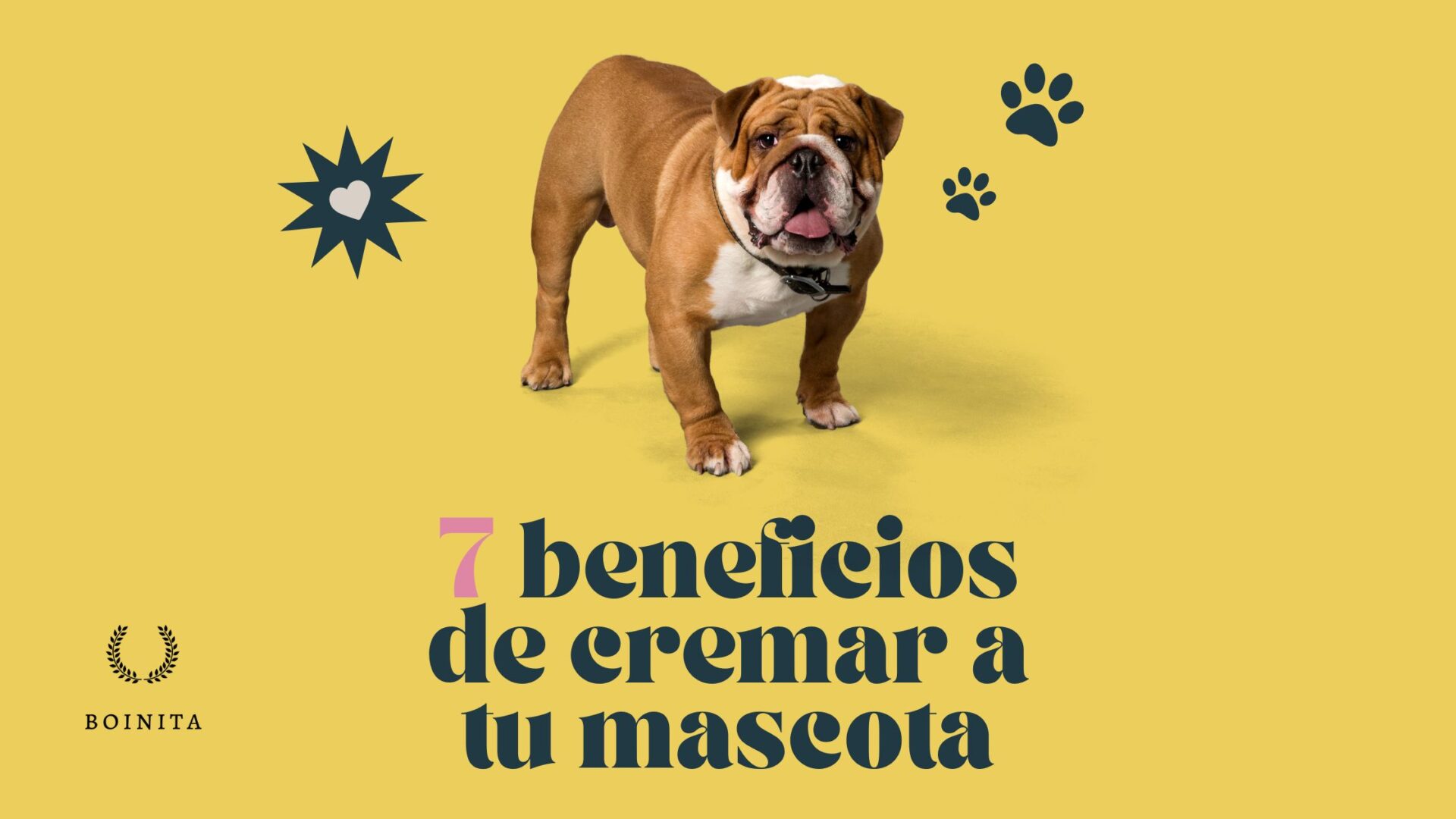 7 Beneficios de cremar a tú mascota