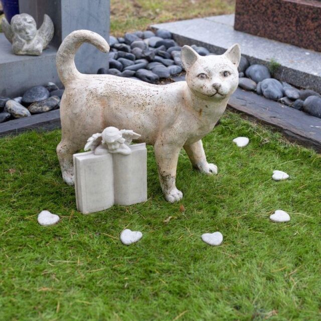 Burying a pet in the yard