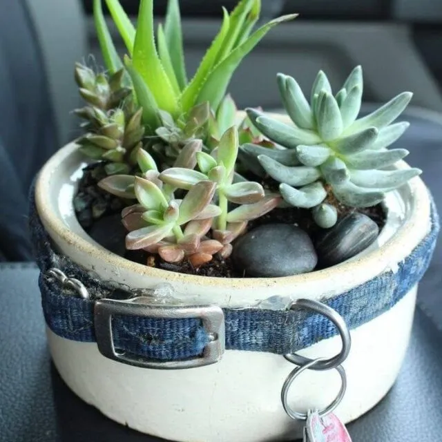 How to put my dog's ashes in a pot?