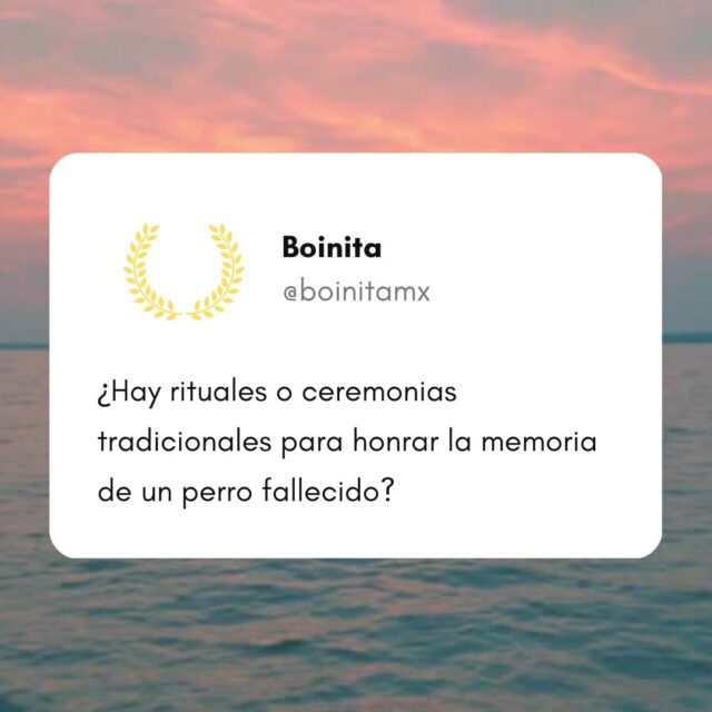 ¿Hay rituales o ceremonias tradicionales para honrar la memoria de un perro fallecido?