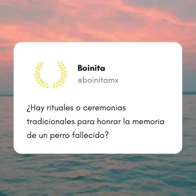 Are there traditional rituals or ceremonies to honor the memory of a deceased dog?