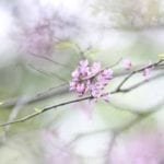 ¿Cuánto cuesta un funeral en San Luis Potosí en el 2024?