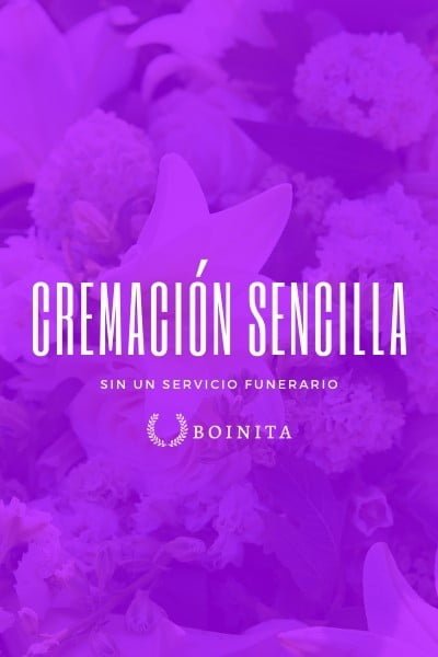 Borrador automático