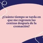 cuanto tardan en recuperar las cenizas de los perros