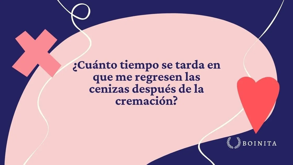 How long does it take for the ashes to be returned to me after cremation?