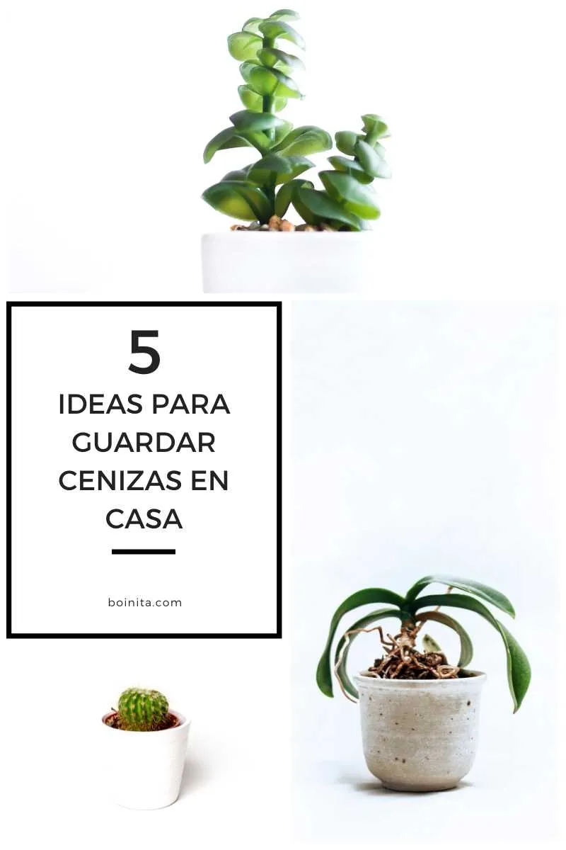 ideas para guardar las cenizas en casa