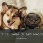 7 things to do when my loved one dies