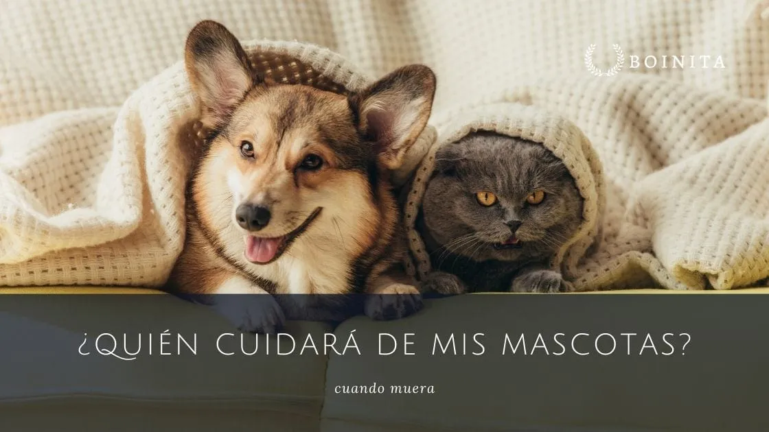 Who will take care of my dog or cat when I die?