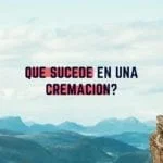 Preguntas Frecuentes de la Cremación Sencilla