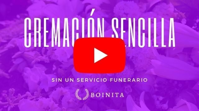Video Boinita