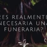 What are the different types of cremation?