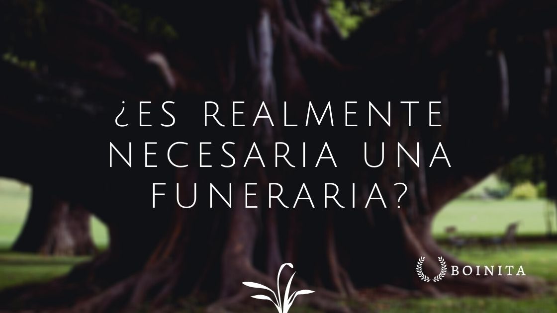 ¿Es realmente necesaria una funeraria si un familiar muere?