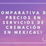 Lista de Precios de Nichos para Cenizas en Mexicali