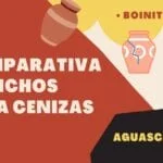 Lista de Precios de Nichos para Cenizas en San Luis Potosí 2023
