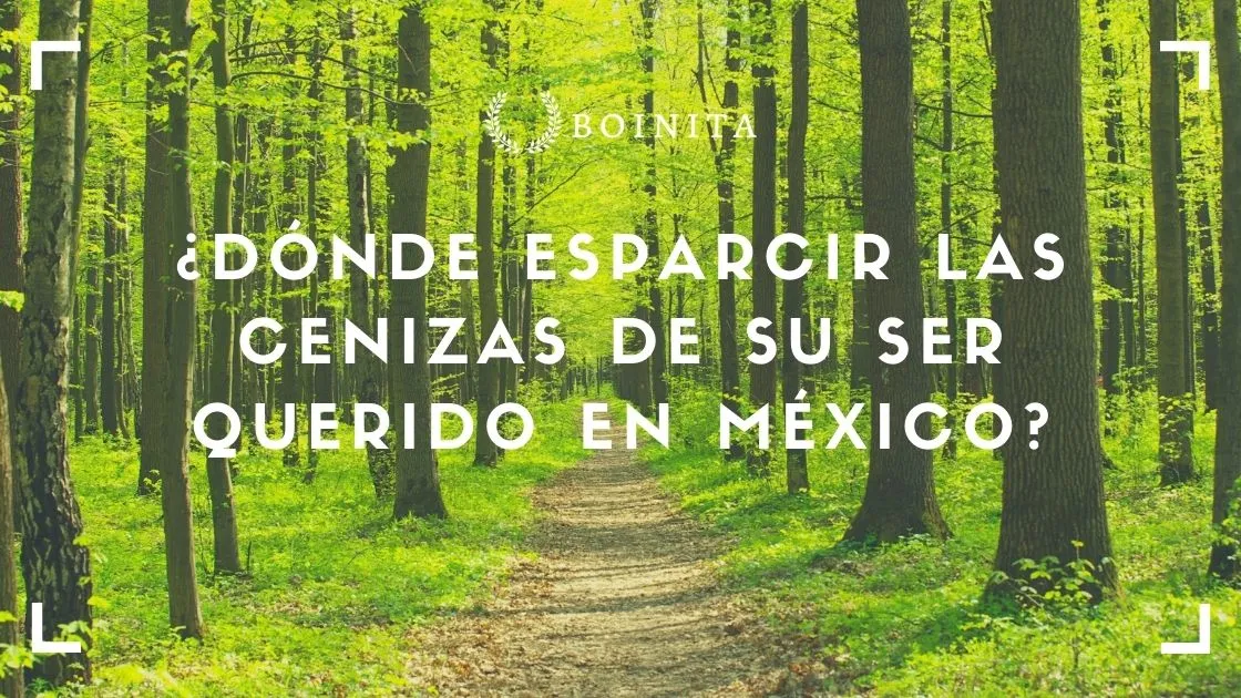 Where to scatter the ashes of your loved one in Mexico?