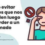 How do you talk to your parents about their funeral arrangements?