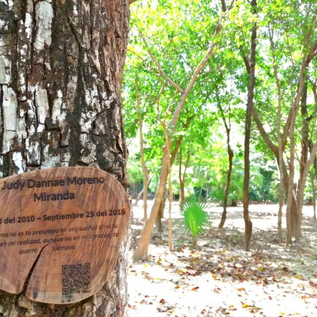 Árbol funerario usado en nichos verdes
