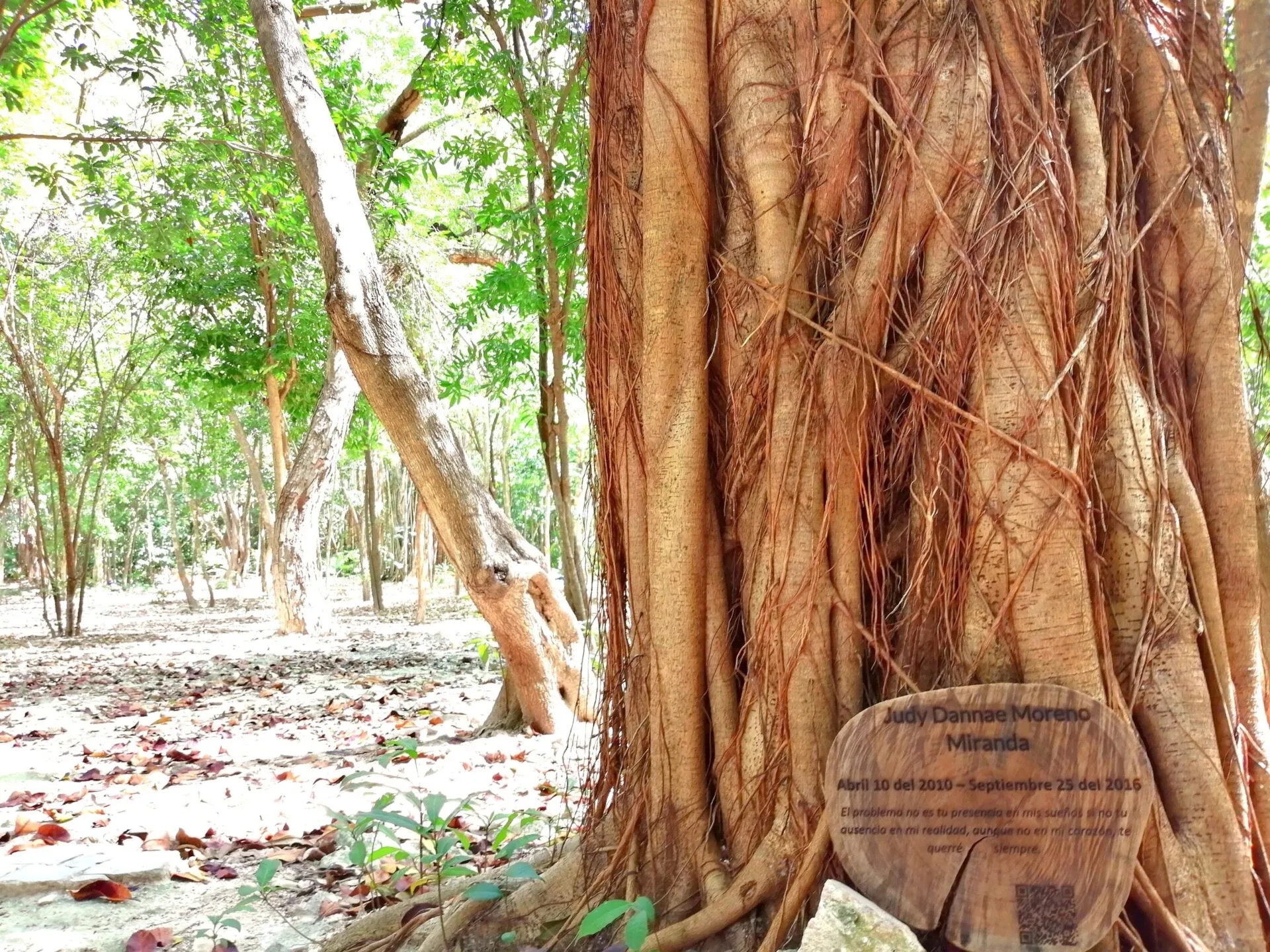 Bosque funerario