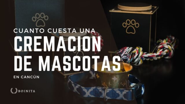 ¿Cuánto cuesta el servicio de cremación de mascotas en Cancún?