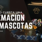 Cuánto cuesta el servicio de cremación de mascotas en Chihuahua