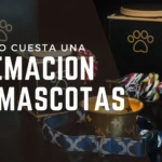 Cuánto cuesta el servicio de cremación de mascotas en León