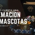 ¿Cuánto cuesta una cremación de mascotas en Ciudad de México?
