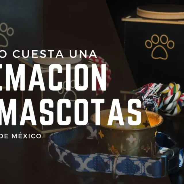 ¿Cuánto cuesta una cremación de mascotas en Ciudad de México?