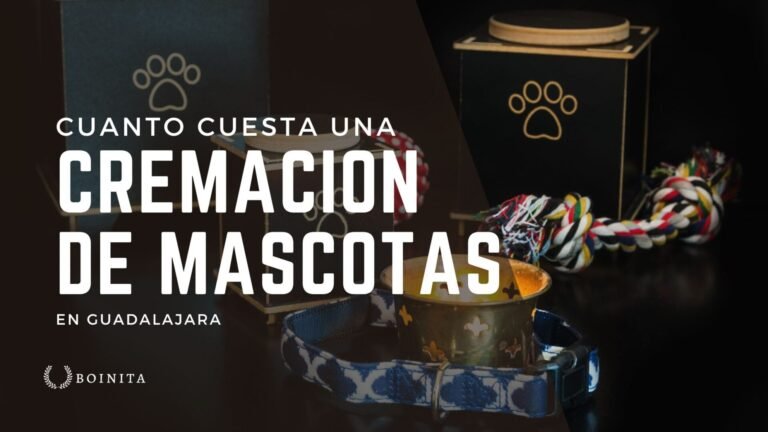 ¿Cuánto cuesta una cremación de mascotas en Guadalajara?