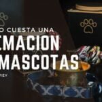 ¿Cuánto cuesta una cremación de mascotas en Monterrey?