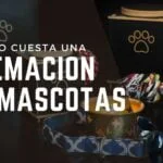 ¿Cuánto cuesta una cremación de mascotas en Toluca?