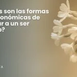 Nichos Verdes de bosques funerarios en México