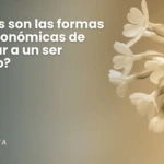 ¿Cuáles son las formas más económicas de sepultar a un ser querido luego de un fallecimiento precipitado?