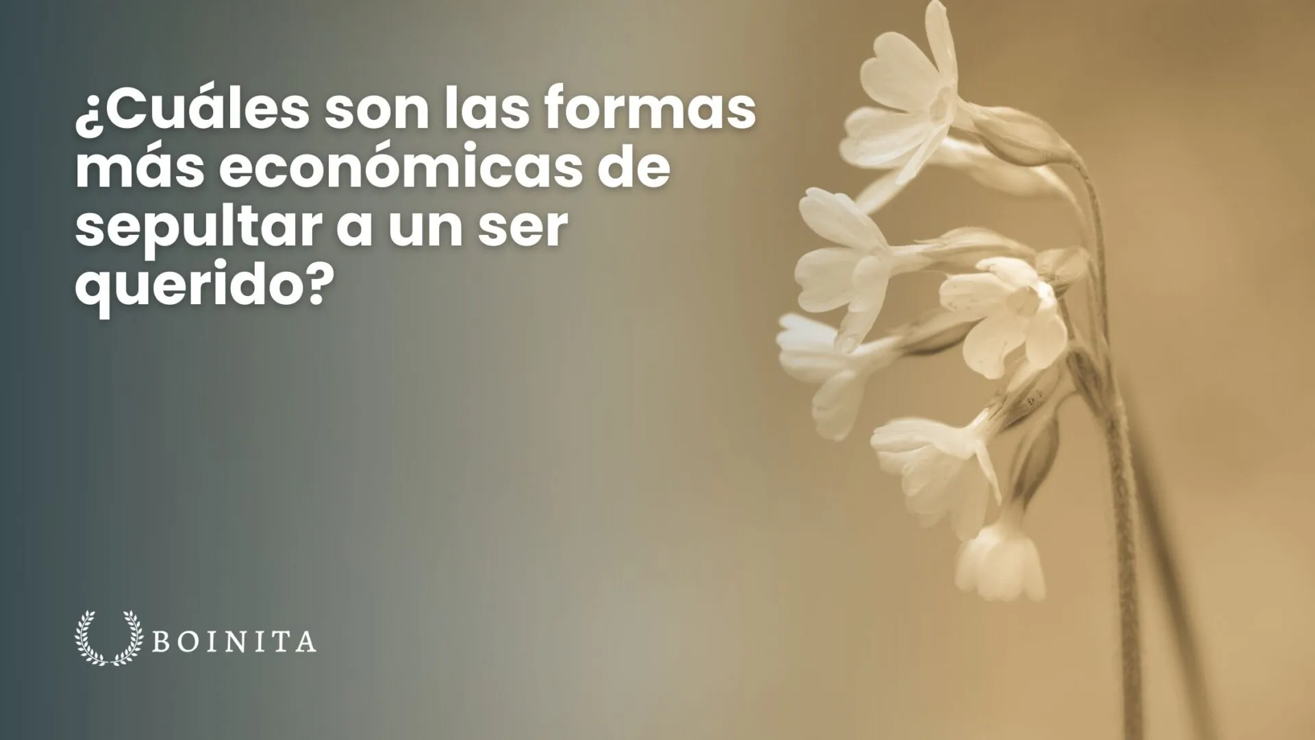 What are the most economical ways to bury a loved one?