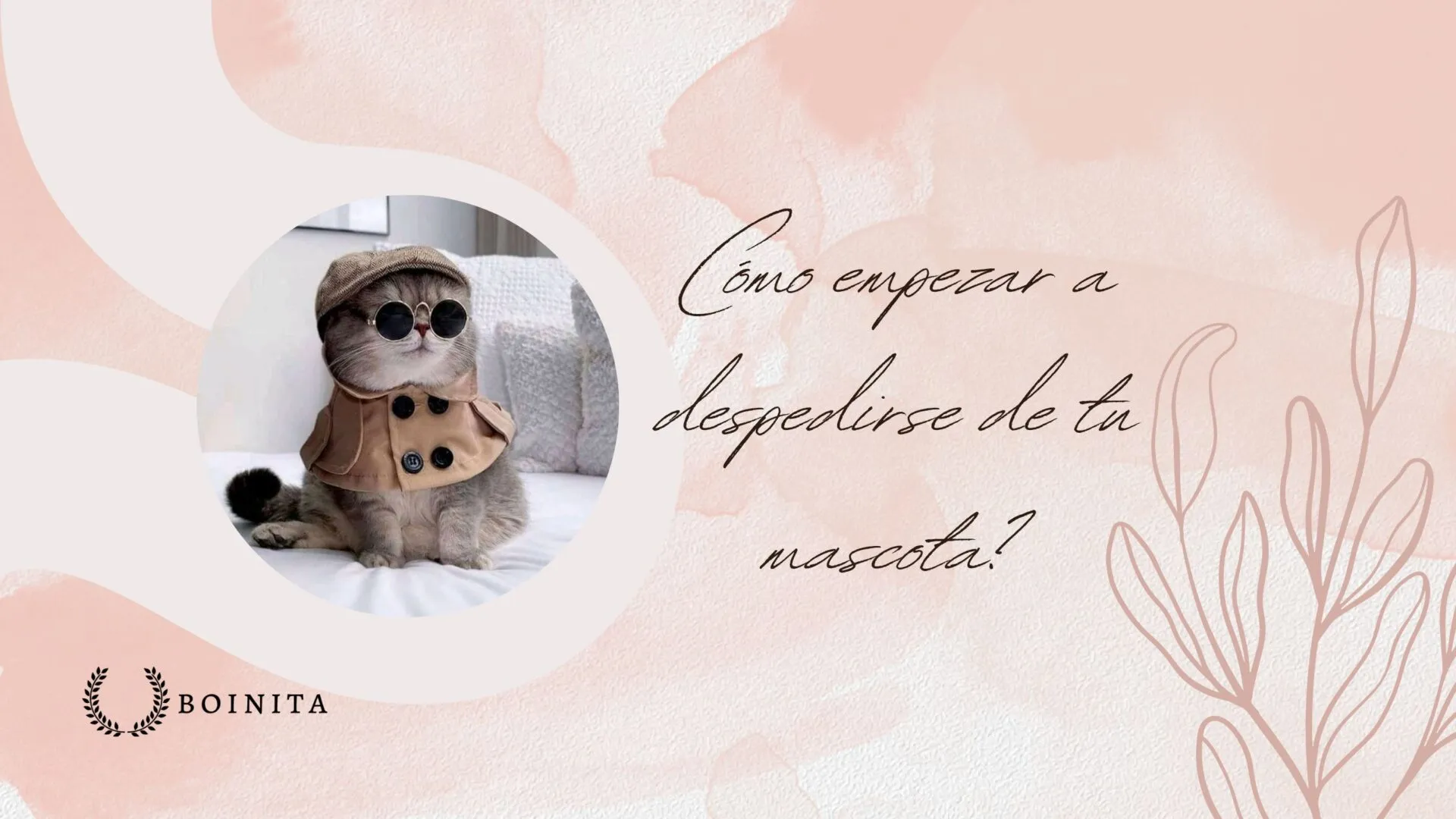 ¿Cómo empezar a despedirse de tu mascota? 