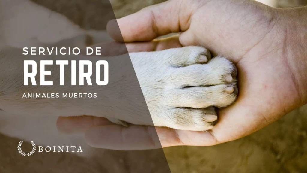 Retiro de Animales Muertos