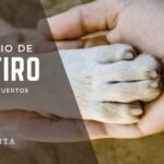 Consejos para la despedida de tu mascota