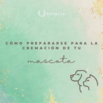 ¿Cómo prepararse para la cremación de tu mascota?