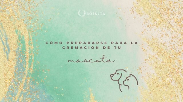 How prepare for your pet’s cremation?