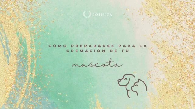 How prepare for your pet’s cremation?