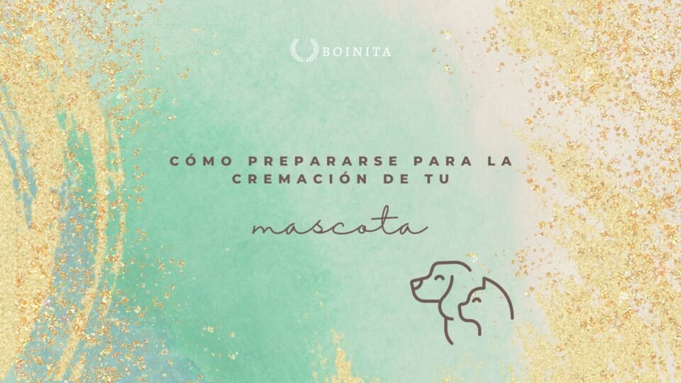 ¿Cómo prepararse para la cremación de tu mascota?