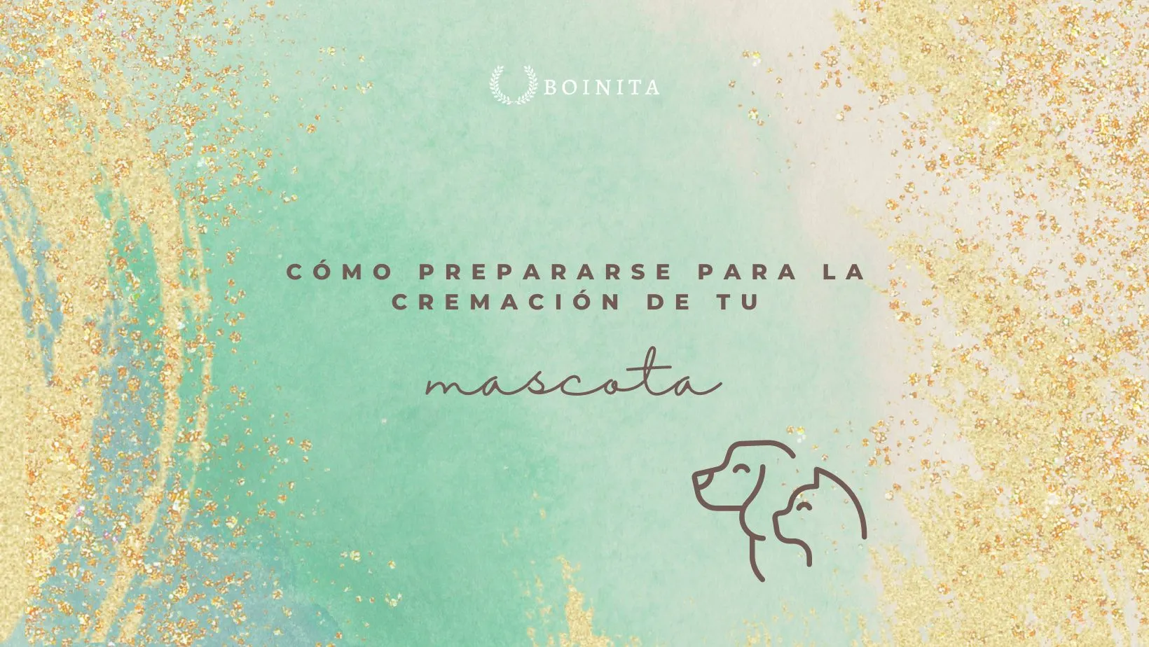 How&nbsp;prepare for your pet’s cremation?