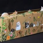 ¿Se puede colocar un altar de muertos para una mascota?