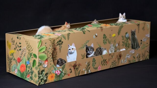 Descarga gratis y crea un ataúd para mascotas