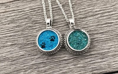 que se puede hacer con las cenizas de un perro