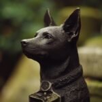 Cómo reconocer a tu perro reencarnado