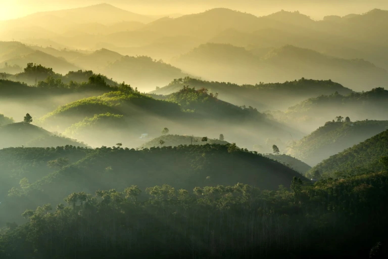 Colinas verdes cubiertas de niebla al amanecer, imagen que acompaña un artículo sobre salmos para difuntos