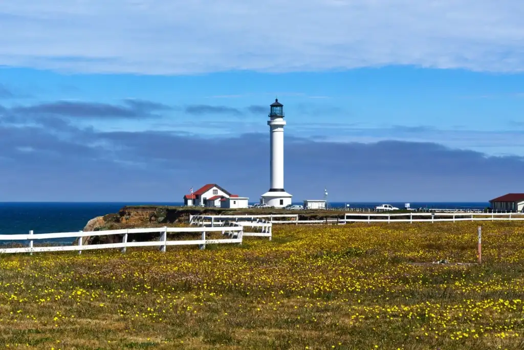 Faro blanco junto al mar rodeado de flores amarillas silvestres